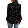 image:imageWIHOLL Long Sleeve Shirts for Women Mock Neck Tops Pleated Front Blouses Dressy Casual Spring Fall Clothes 2026 Fashion04  Black Star Print